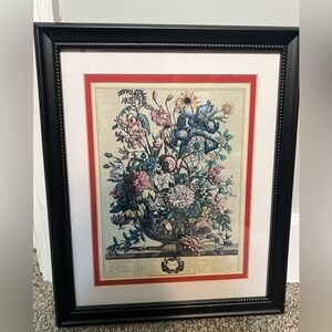 Robert Furber's Twelve Months of Flowers - June